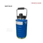 Stainlless steel vacuum insulated bottle